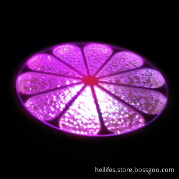 Bathtub water toys colorful LED orange